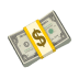 /assets/images/homePage/money.png
